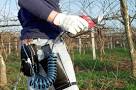 Immagini relative a forbici da potatura pneumatiche