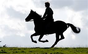 Image result for HORSE