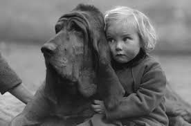 Resultado de imagem para imagens de amizade