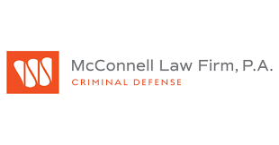 Criminal Defense Lawyer