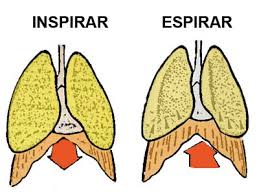 Resultado de imagen de inspirar con el diafragma