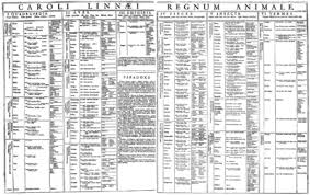 Image result for linnaeus