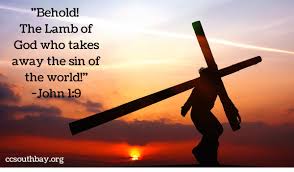 Image result for Images of the lamb of God that takes away sins