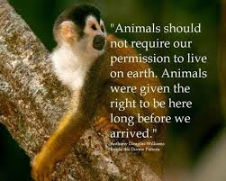 10 Inspiring Quotes about Animals | One Green Planet via Relatably.com