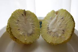 Image result for hedge apples