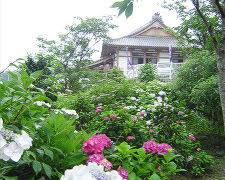 広島市観音寺の画像