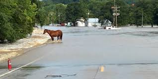 Flash Flood Apocalypse: Drone Footage Reveals Missouri's Campground Collapse and the Desperate Race to Save 17 Lives