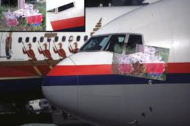 Image result for mh17 wings