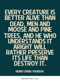 Moose Quotes And Sayings. QuotesGram via Relatably.com