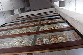 Image result for cambodia history killing fields