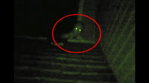 Resultado de imagen de the rake