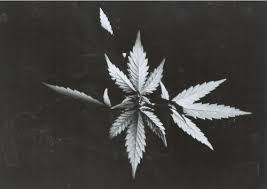 R&eacute;sultats de recherche d'images pour &laquo;&nbsp;tumblr photography black and white smoke&nbsp;&raquo;