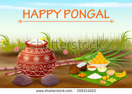 Image result for Pongal