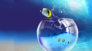 Image result for 3d hd wallpapers