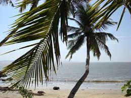 Image result for Bambolim beach