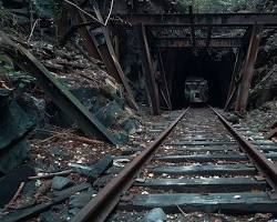 Immagine di train track leading to a dark forest