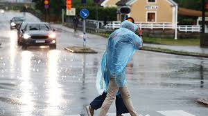 SVT Nyheter - News update