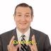 Why GOP nominee Ted Cruz should worry 2016 Republicans, too