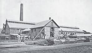 Image result for GUYANA INDENTURED INDIANS