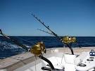 What is the best reel for offshore tuna fishing? - The Hull Truth