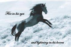 Wild Horses Quotes op Pinterest via Relatably.com