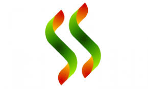 Bildergebnis für ss logo