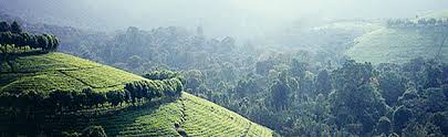 Image result for burundi