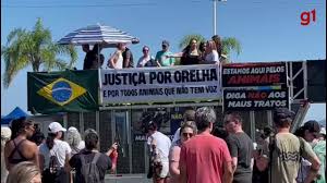 Caso cão Orelha mobiliza manifestações em Florianópolis e em várias cidades do Brasil