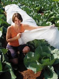 Bildergebnis für row cover