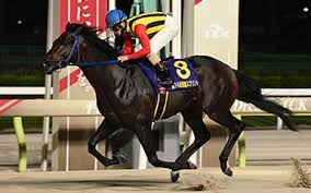 東京シティ競馬 - News update