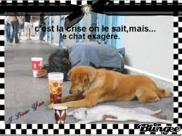 Image search result for 