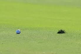 PGA Championship 2026: How they determine the 36-hole cut line at Aronimink