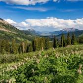 Crested Butte