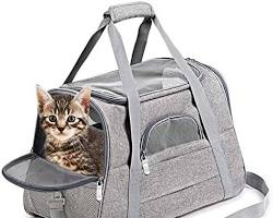 cat carrier with various items insideの画像