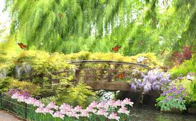 Image result for animated butterflies wallpaper