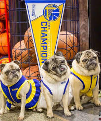 Game 44 wrap: (no spoiler title)