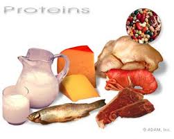 protein içeren besinler görsel ile ilgili görsel sonucu