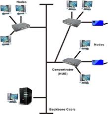 Image result for topologi jaringan tree