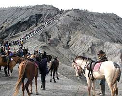  gunung bromo 