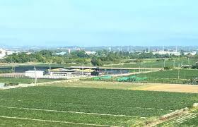 News source: 自由時報