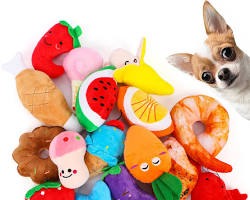 Amazon 犬のおもちゃの画像