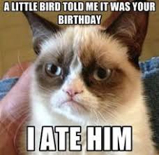 Image result for funny birthday
