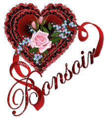 Résultat de recherche d'images pour "Gifs bonsoir"