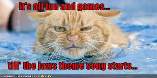 Image result for jaws song