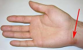 images?q=tbn:ANd9GcTspdGbhLzmNpiIbSbV0sXd8ugbxe0jM6dWhnxIoRHC-pXX_y5i