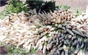 Image result for শীতকালীন সবজি চাষ