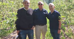 Diario Río Negro - News update