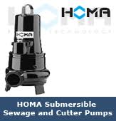 Pisces Pumps ≈ HOMA Pumps