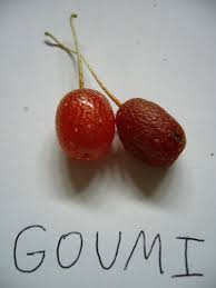 Image result for goumi