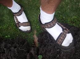 Image result for tevas